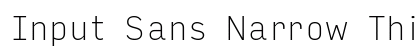 Input Sans Narrow Thin Preview