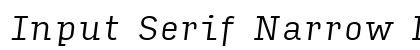 Input Serif Narrow Light Italic Preview