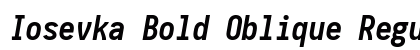 Iosevka Bold Oblique Regular font free download