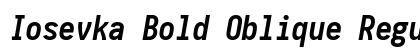 Iosevka Bold Oblique Regular Preview