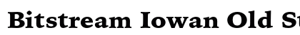 Bitstream Iowan Old Style Black Preview