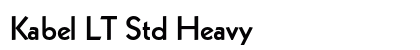 Kabel LT Std Heavy Preview