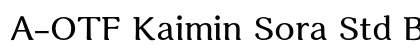 A-OTF Kaimin Sora Std B Preview