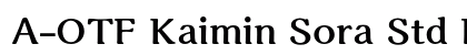 A-OTF Kaimin Sora Std H Preview