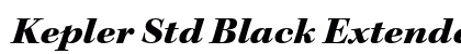 Kepler Std Black Extended Italic Subhead Preview