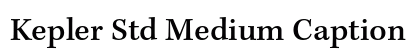 Kepler Std Medium Caption Preview