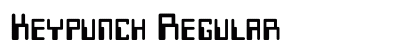 Keypunch Regular Preview
