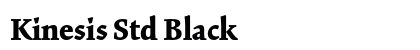 Kinesis Std Black Preview