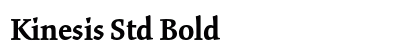 Kinesis Std Bold Preview