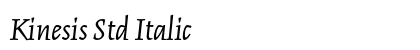 Kinesis Std Italic Preview