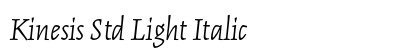 Kinesis Std Light Italic Preview