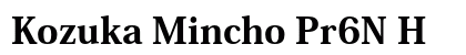 Kozuka Mincho Pr6N H font free download