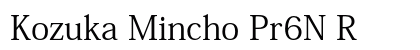 Kozuka Mincho Pr6N R Preview