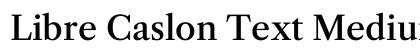 Libre Caslon Text Medium Regular preview Libre Caslon Text Medium Regular preview