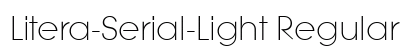 Litera-Serial-Light Regular Preview