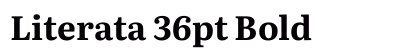 Literata 36pt Bold Font Literata 36pt Bold Font Preview