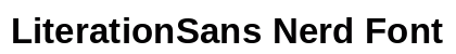 LiterationSans Nerd Font Bold Preview