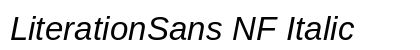 LiterationSans NF Italic Preview
