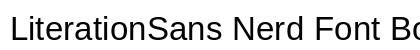 LiterationSans Nerd Font Book font free download