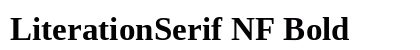 LiterationSerif NF Bold Preview