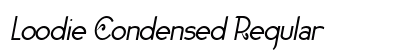 Loodie Condensed Regular preview