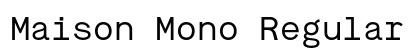 Maison Mono Regular Preview