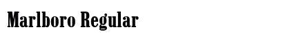 Marlboro Regular Preview