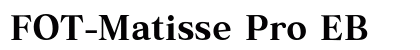 FOT-Matisse Pro EB font free download