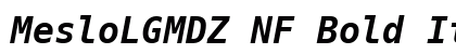 MesloLGMDZ NF Bold Italic Preview