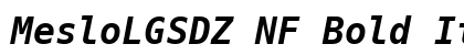 MesloLGSDZ NF Bold Italic Preview
