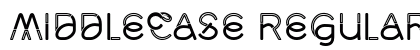 Middlecase Regular Inline preview Middlecase Regular Inline preview