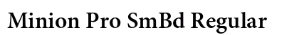Minion Pro SmBd Regular Preview