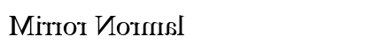 Mirror Normal Preview