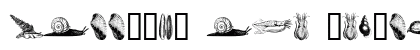 mollusks one Regular Font Preview