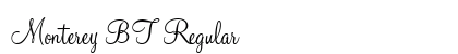 Monterey BT Regular font free download
