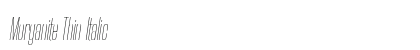 Morganite Thin Italic Preview