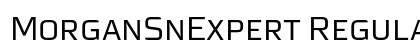 MorganSnExpert Regular font free download