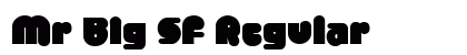Mr Big SF Regular font free download