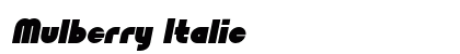 Mulberry Italic Preview