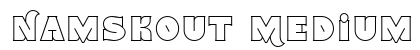 Namskout Medium (OpenType) Font Preview