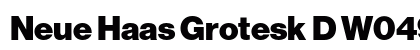 Neue Haas Grotesk D W0495 Bold font free download