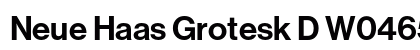 Neue Haas Grotesk D W0465 Regular font free download