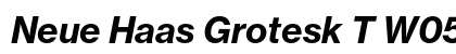 Neue Haas Grotesk T W0576 Bold Italic font free download