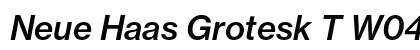 Neue Haas Grotesk T W0466 Italic font free download