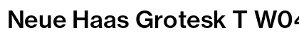 Neue Haas Grotesk T W0465 Regular font free download