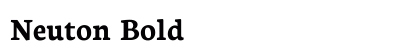 Neuton Bold Preview