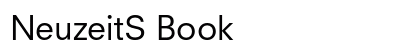 NeuzeitS Book preview