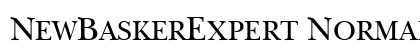 NewBaskerExpert Normal Preview
