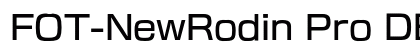 FOT-NewRodin Pro DB preview