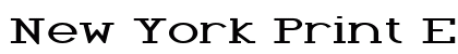 New York Print Expanded Bold Preview